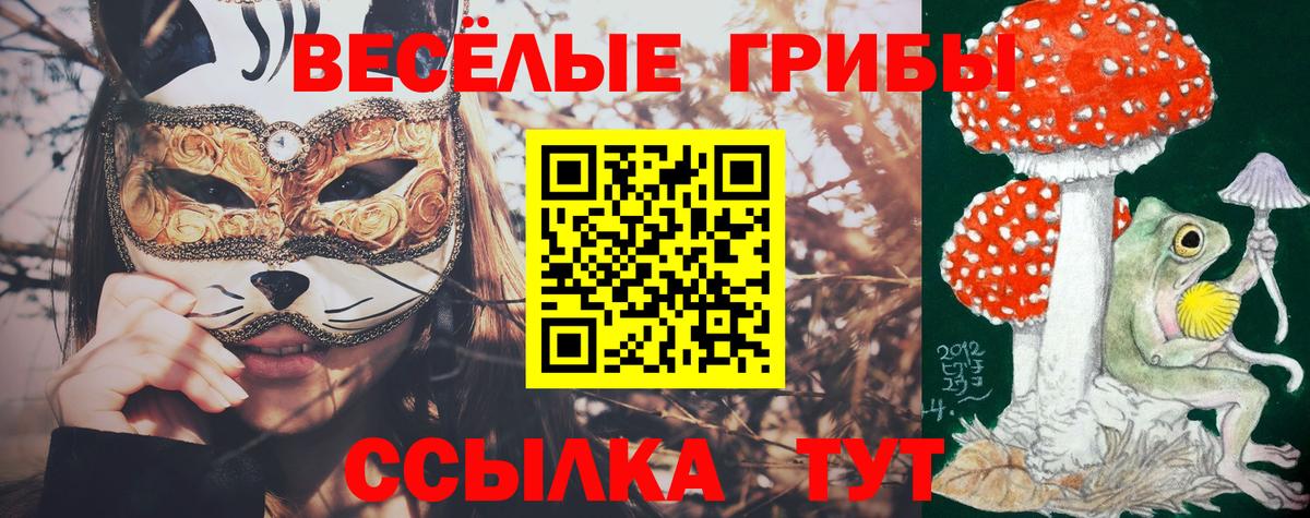 Краснознаменск  Псилоцибиновые грибы ЛСД  Вход с VPN 